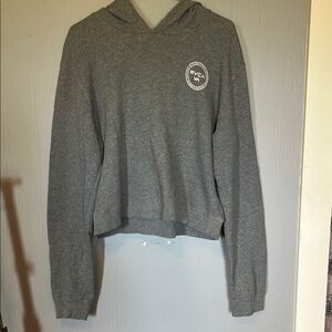 RVCA Gray Cropped Hoodie Relaxed Fit